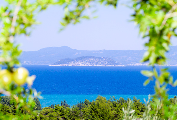 Pogled na Kornjačino ostrvo i Sitoniju